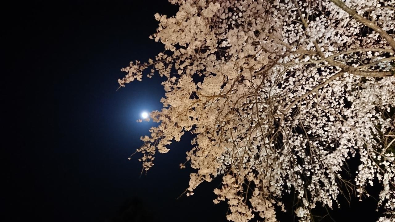 Temple Lodging Shukubo Kakurinbo Minobu Екстер'єр фото